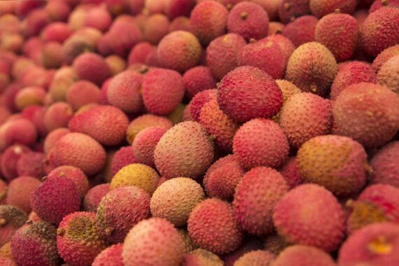 Litchi chinensis